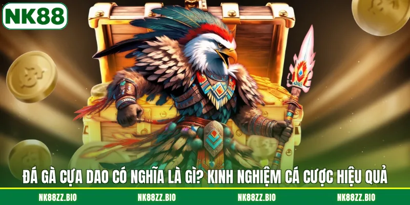 Đá Gà Cựa Dao Có Nghĩa Là Gì? Kinh Nghiệm Cá Cược Hiệu Quả da-ga-cua-dao-co-nghia-la-gi-kinh-nghiem-ca-cuoc-hieu-qua